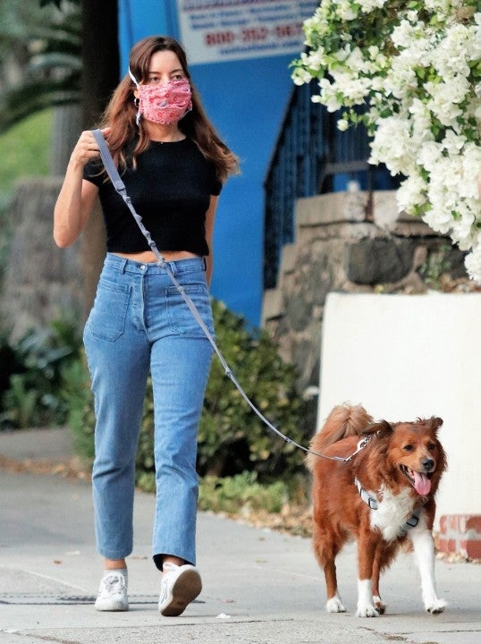 Aubrey Plaza walks her dog