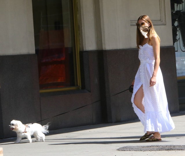 Olivia Palermo and her dog on august 1
