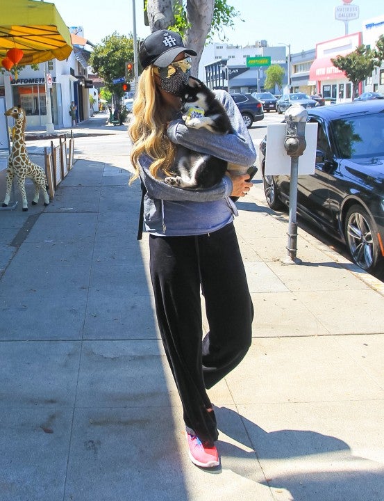 Paris Hilton on beverly blvd with her dog