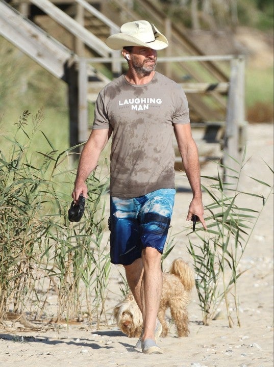Hugh Jackman was spotted out for a swim and then walking dogs.
