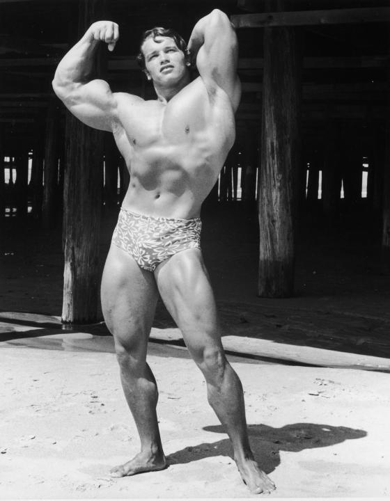 Pumping Iron Arnold Schwarzenegger Famous Pose Photo Limited Signature  Edition Custom Frame | RARE-T