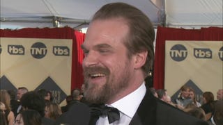 David Harbour Says Alison Sudol Is a 'Wonderful Person' (Exclusive)