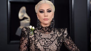 Lady Gaga Cancels Final Tour Dates Due to 'Severe Pain'
