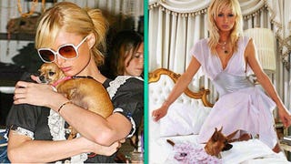 Paris Hilton Is 'Devastated' After Death of Beloved Dog Tinkerbell