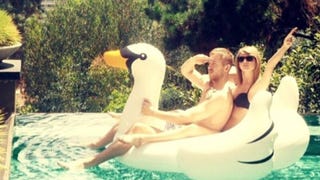 Calvin Harris is Cat-Sitting For Girlfriend Taylor Swift!