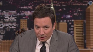 Jimmy Fallon Hospitalized Following Hand Injury