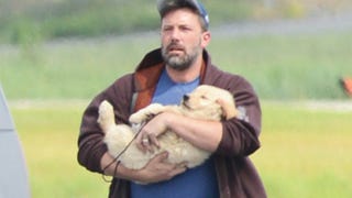 Ben Affleck Cradles Puppy With Wedding Ring On