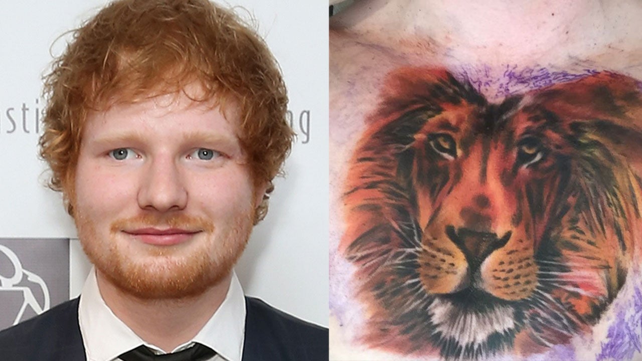 Ed Sheeran Gets Crazy Chest Covering Lion Tattoo Ed Sheeran Gets Crazy Chest Covering Lion Tattoo
