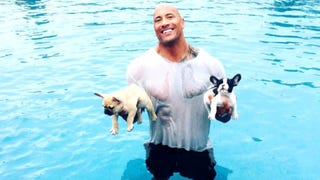 Dwayne Johnson Shares Heartbreaking Photo After His Puppy Dies