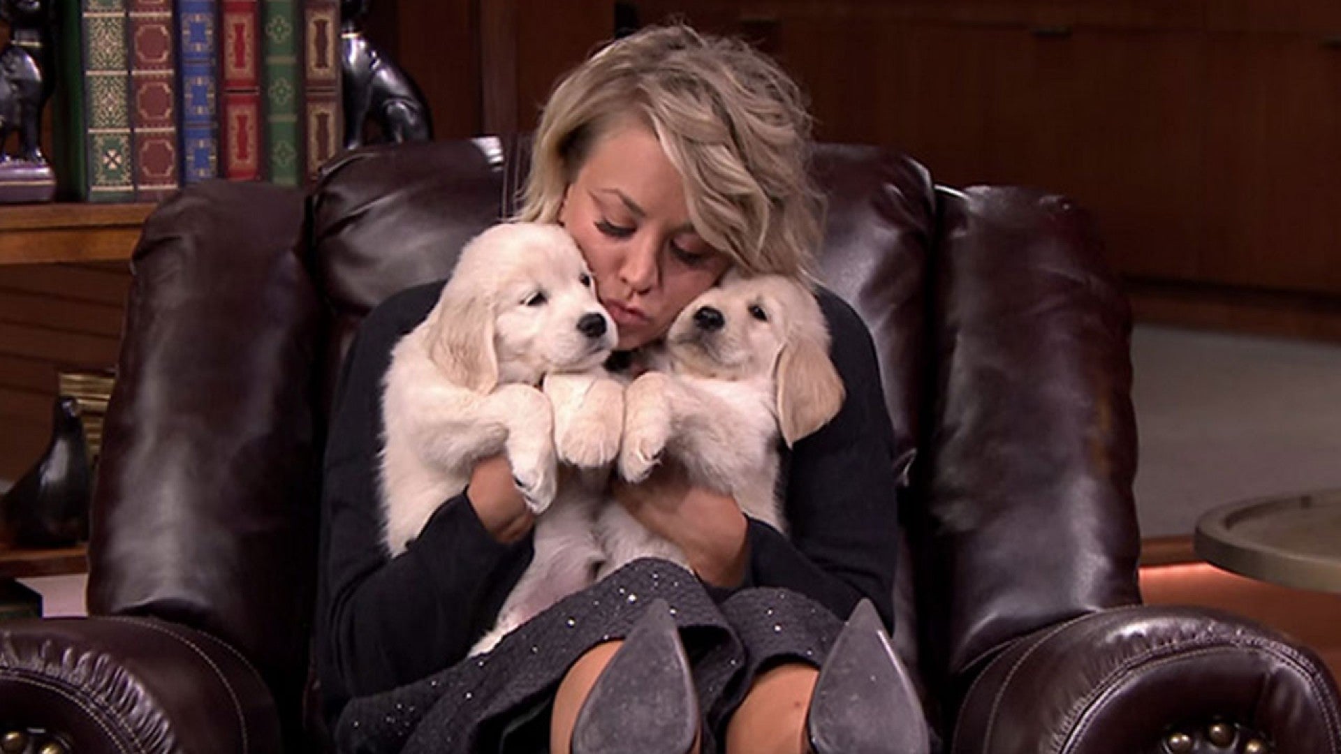 Kaley Cuoco Sweeting Completely Loses It While Playing Trivia With Adorable Puppies Entertainment Tonight