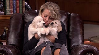 Kaley Cuoco-Sweeting Gets Covered in Puppies, Nearly 'Dies' From Excitement