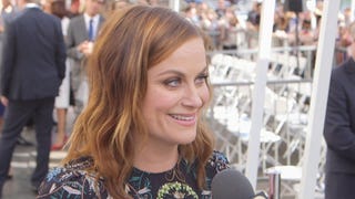 Amy Poehler's Son Hilariously Supports 'Star Wars' Over 'Sisters'