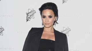Demi Lovato Mourns Her Uncle Jeff With a Touching Tribute
