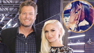 Did Blake Shelton Give Gwen Stefani a Horse?
