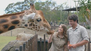 Bindi Irwin Promises to Teach Boyfriend Chandler Powell Everything There Is to Know About Zoo Life