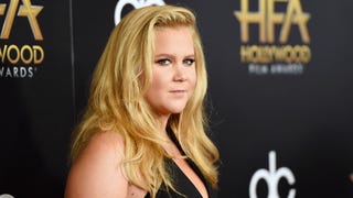 Amy Schumer Recounts Hilarious Paris Food Poisoning Incident on 'Ellen'