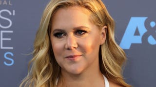Amy Schumer Buys Back Her Family's Farm After Losing It Years Ago