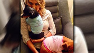 Carrie Underwood Shares Adorable Video of Her Puppy in Physical Therapy