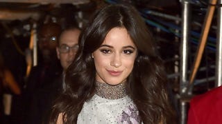 Camila Cabello Teases New Collab -- See the Pic!
