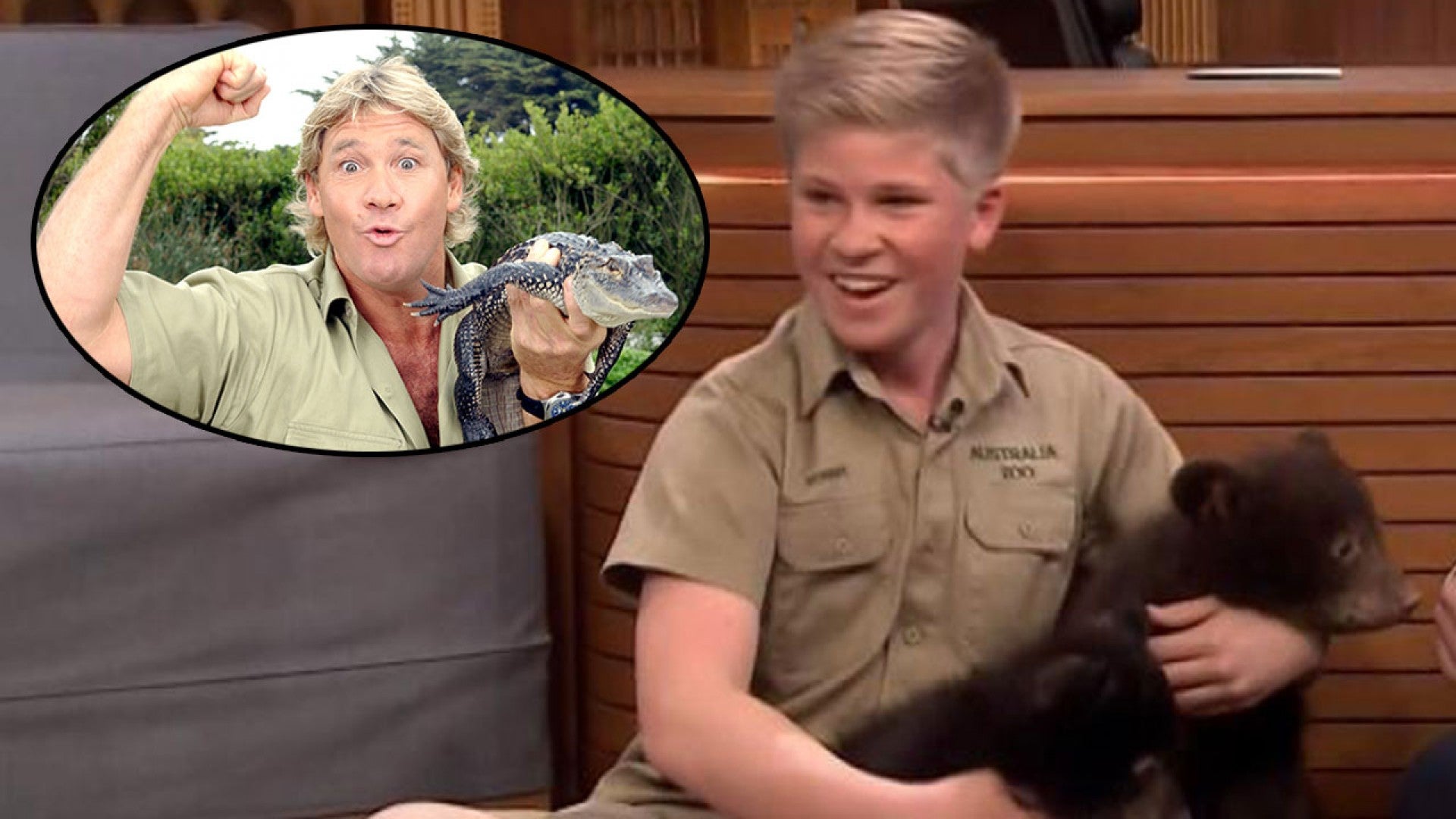 Robert Irwin Channels Croc Hunter Dad, Stops Bear Cubs From Chewing on  Jimmy Fallon on 'Tonight Show' | Entertainment Tonight