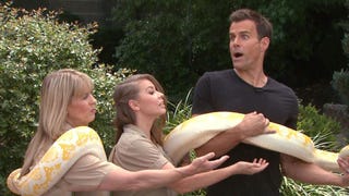 Can Cam... Wrangle Wildlife With Bindi Irwin and Family?!