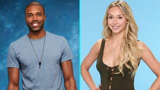 'Bachelor in Paradise' Investigation Over; Warner Bros. Concludes No Misconduct