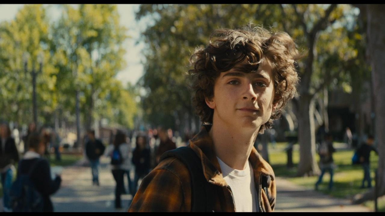 Шлёзы воздушный трейлер. Тимоти шаламе. Хорошие мальчики 2019. Финн литтл 2022. Тимоти шаламе бьютифул бой.