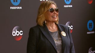 Roseanne Barr Calls Herself an 'Idiot' Over Tweet Controversy