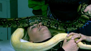 Snake Massage Celebrity Relaxation Technique 
