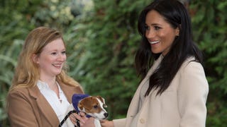 Watch Meghan Markle's Perfect Reaction to Being Called a 'Fat Lady' 
