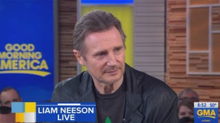 Liam Neeson Proclaims He's 'Not Racist' After Controversial Comments 