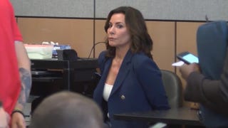 Luann de Lesseps Appears in Court Following Probation Violation