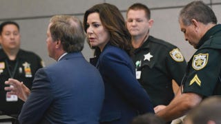 Luann de Lesseps Speaks Out After She's Briefly Handcuffed For Parole Violation