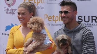 Why Jax Taylor and Brittany Cartwright Will Be 'the Cauchis' When They Get Married (Exclusive)