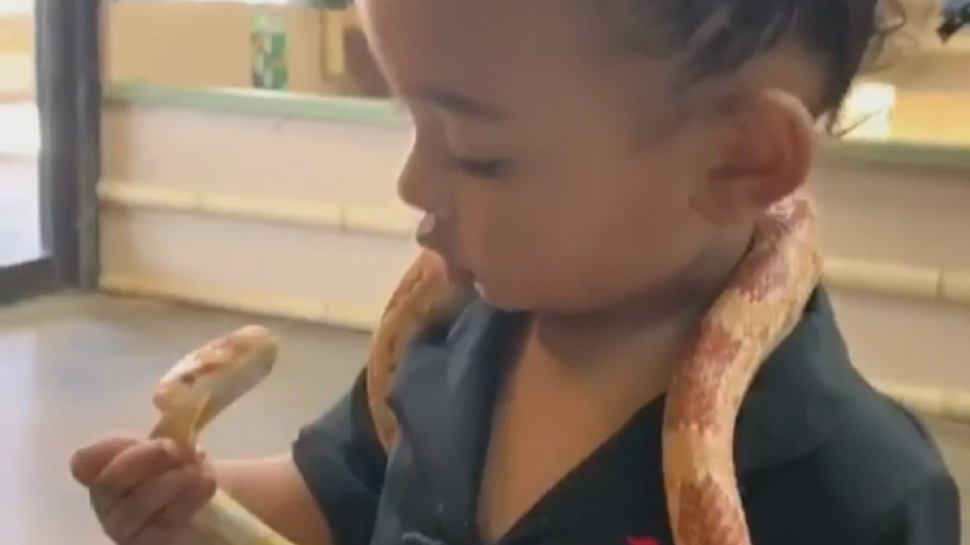 Kim Kardashian Gushes Over Brave Daughter Chicago As She Plays With Snakes Watch Entertainment Tonight