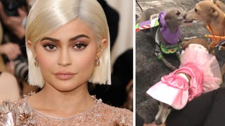 Kylie Jenner Dressed Her Dogs Up as ‘Toy Story’ Characters