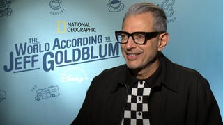 Jeff Goldblum Turns 67! How He Plans to Celebrate (Exclusive)