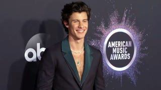 2019 AMAs: Shawn Mendes Rocks Puka Shells on the Red Carpet -- Watch!