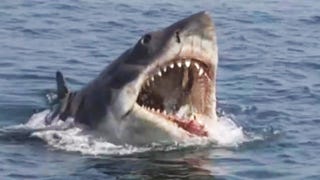 ‘Jaws’ Turns 45: What You Don’t Know About the 1975 Classic