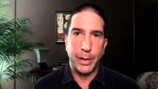 David Schwimmer Talks ‘Intelligence’ and Gives Update on ‘Friends’ Reunion (Exclusive)