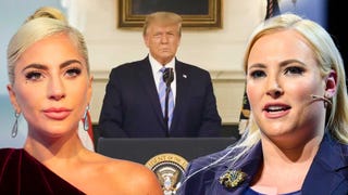 Watch Donald Trump Acknowledge Election Defeat as Celebs Push for Impeachment 