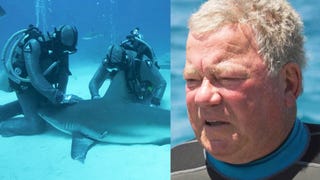 See 90-Year-Old William Shatner Gets Up Close and Personal With Sharks (Exclusive)