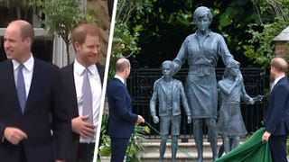 Prince William and Prince Harry Reunite for Unveiling of Statue Honoring Late Mom Princess Diana