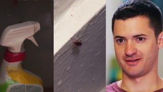 '90 Day Fiancé' Producer Details Kyle and Noon's Roach Problem (Exclusive)