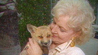 Remembering Betty White's Legacy as an Animal Advocate