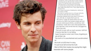 Why Shawn Mendes Worries Fans May Think Less of Him 