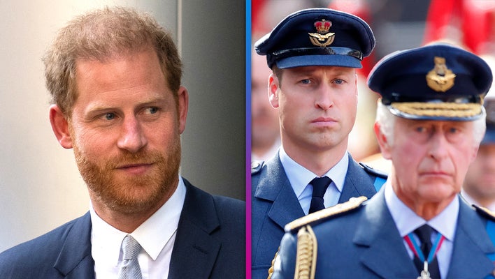 Prince William and King Charles 'Wary' About Prince Harry Testifying in Court (Royal Expert) 