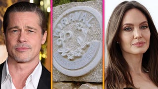 Brad Pitt Accused of 'Looting' French Vineyard He Owned With Ex Angelina Jolie
