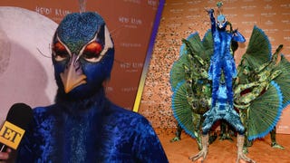How Heidi Klum Came Up With Shocking Peacock Halloween Costume Reveal (Exclusive) 
