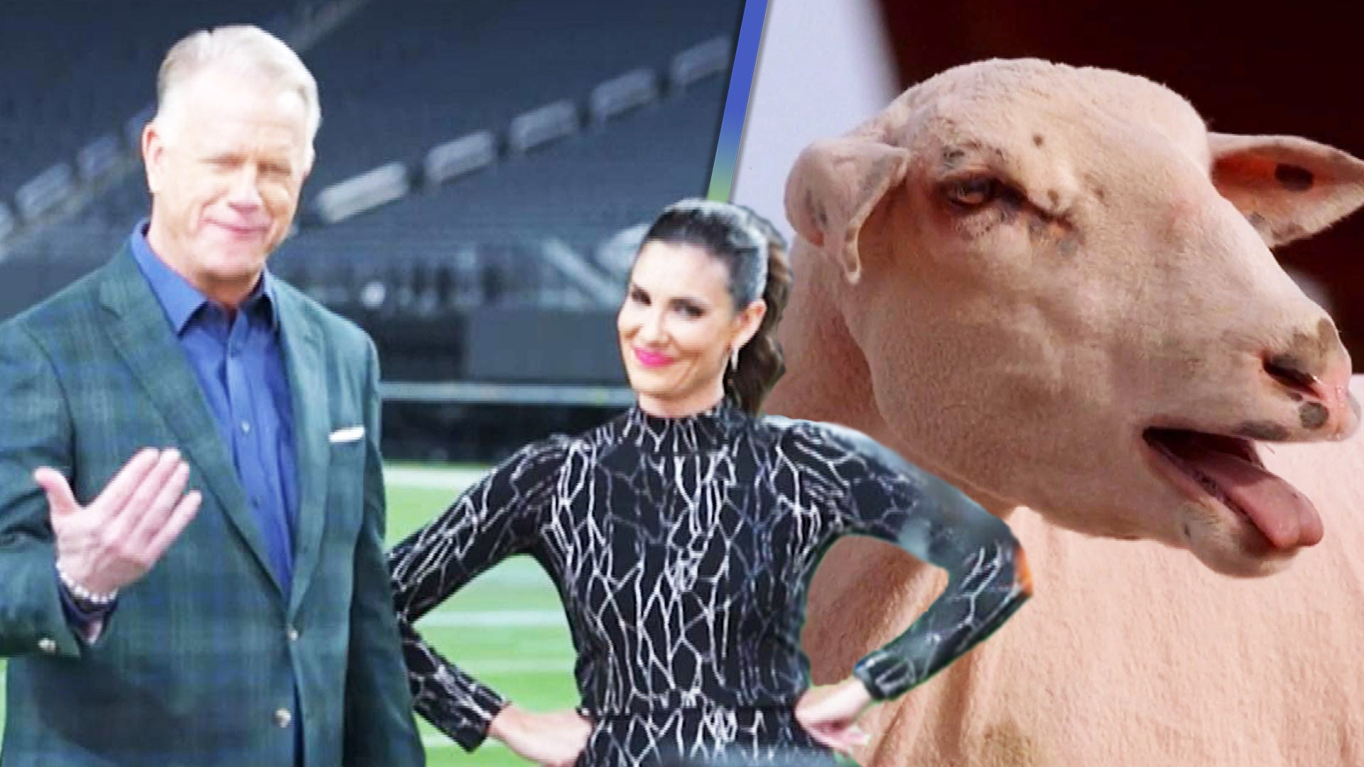 Inside 'Super Bowl Greatest Commercials' With Boomer Esiason and Daniela Ruah (Exclusive)